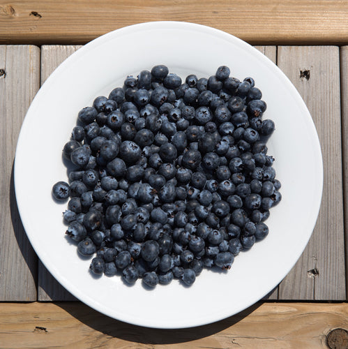 Freeze Dried Blueberries - OutdoorPantry.com